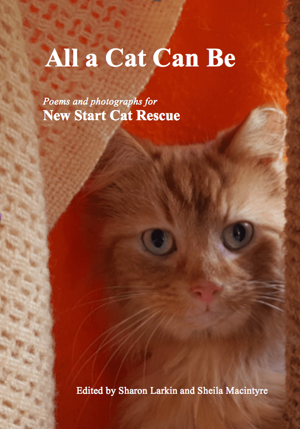 Screen Shot 2018-05-19 at 18.52.48