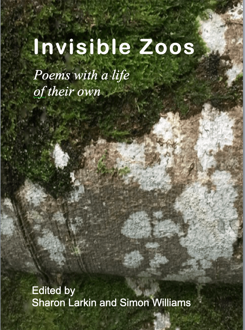 Screenshot 2019-09-06 at 19.00.30